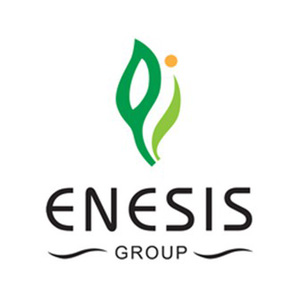 Enesis Group